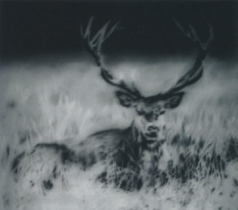 auction-image