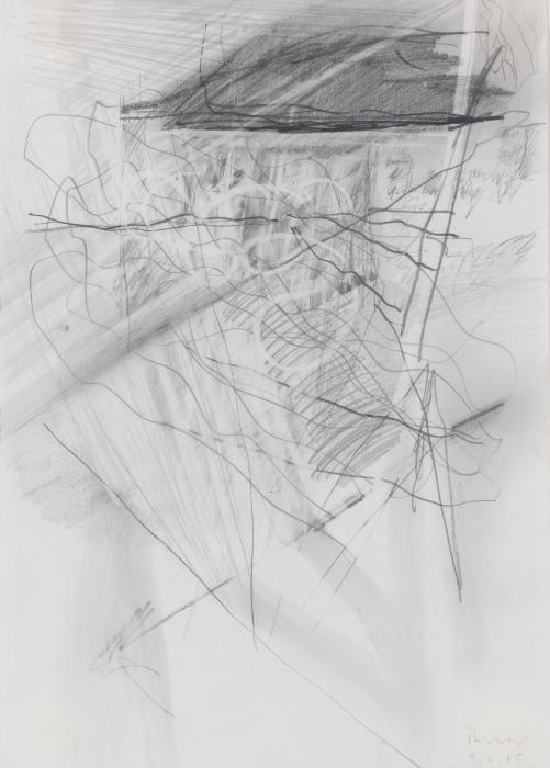 auction-image