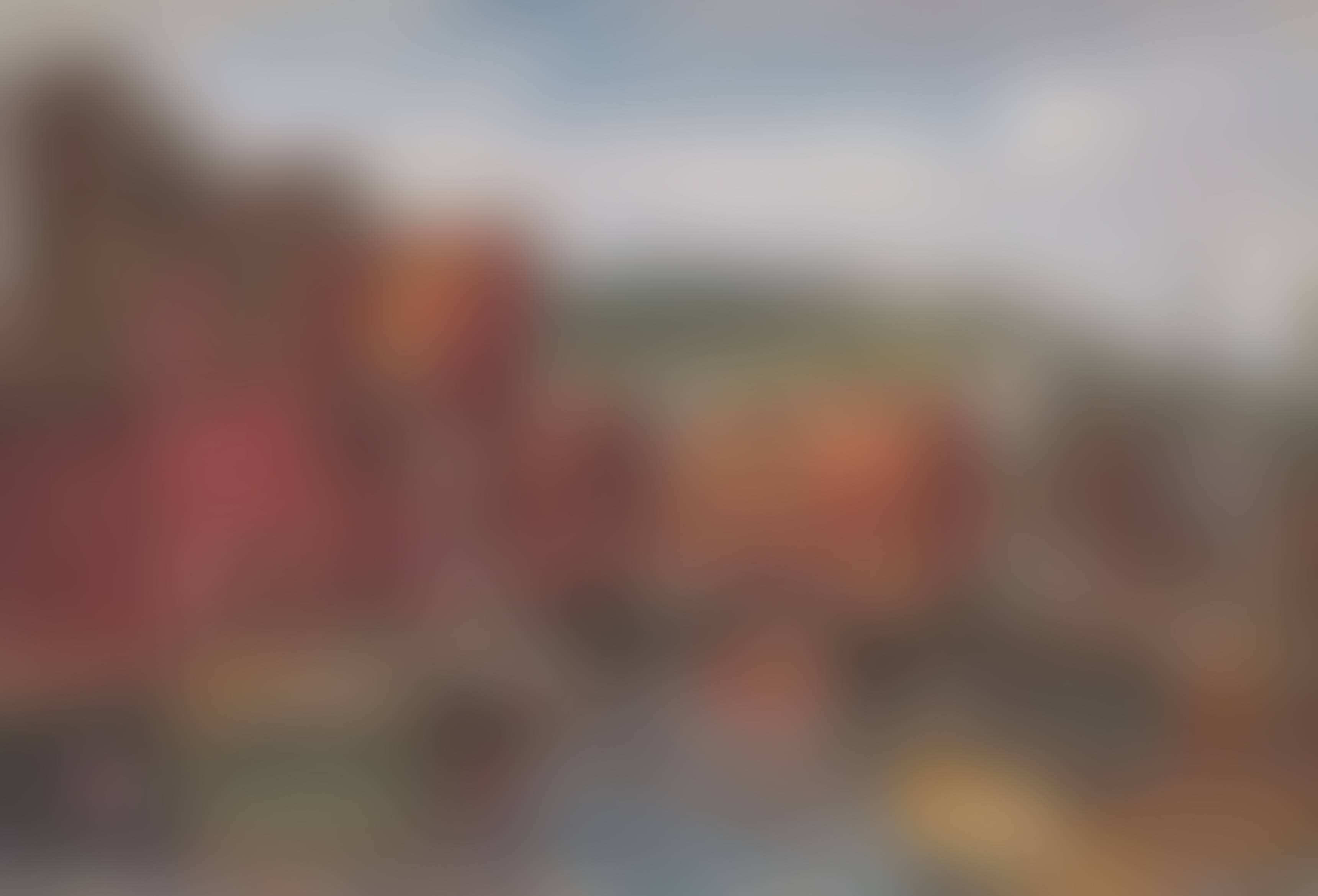 auction-image