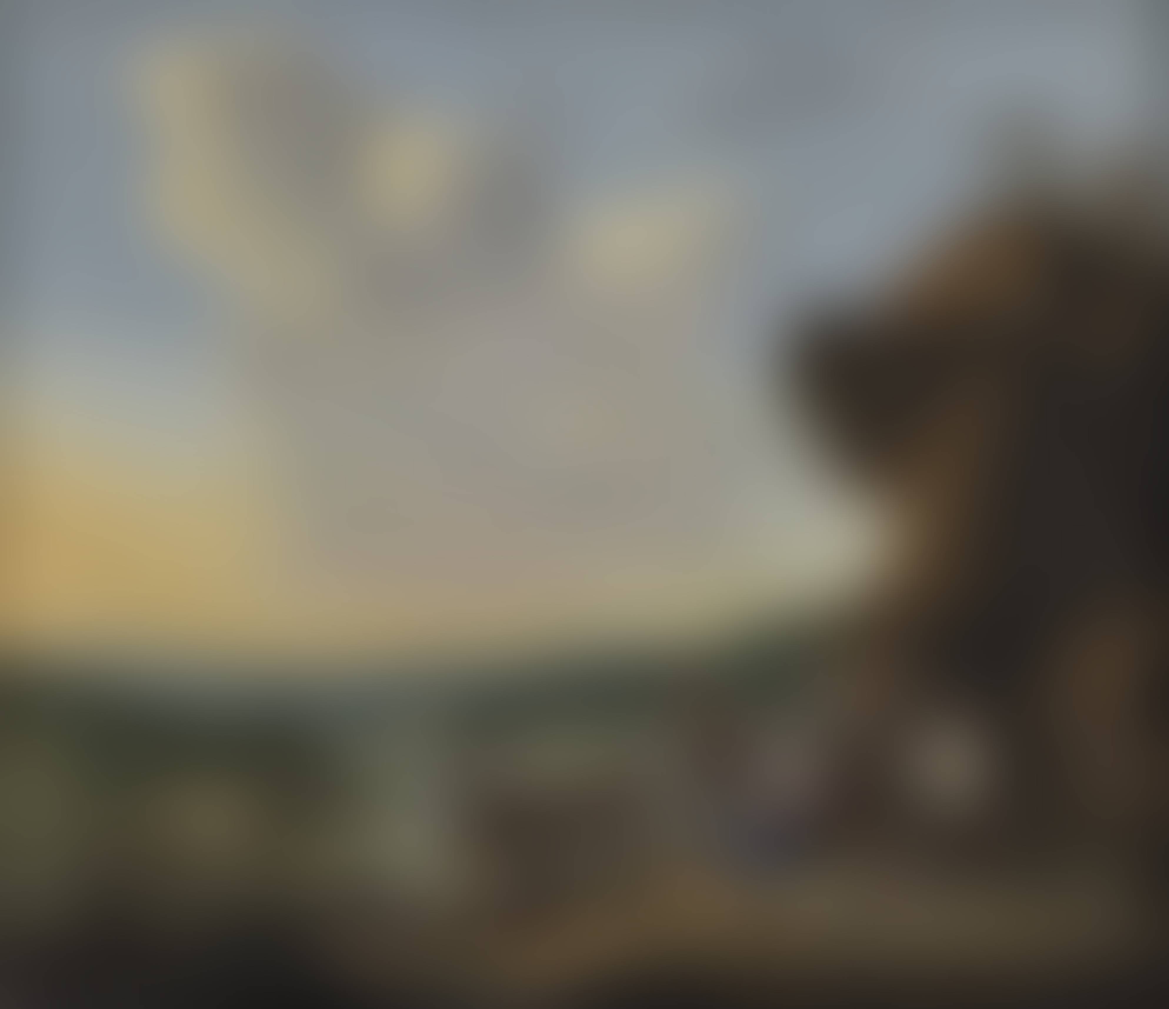 auction-image