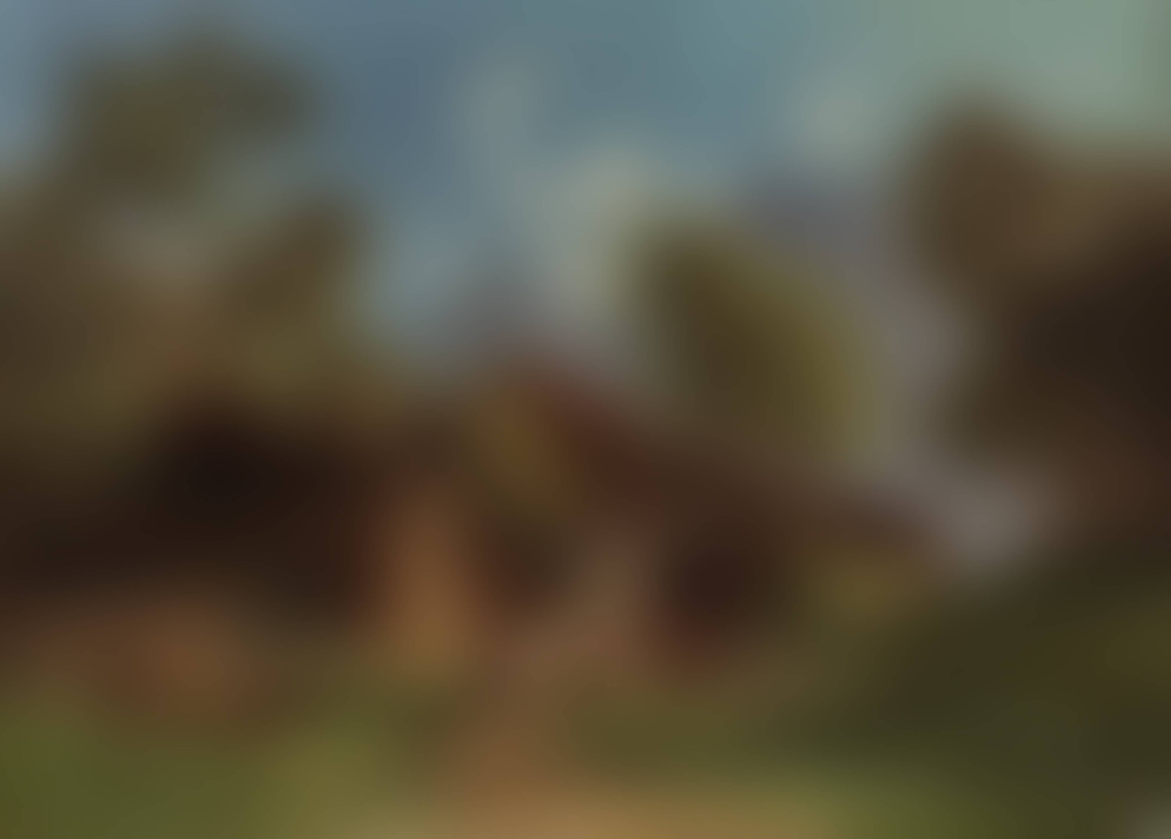 auction-image