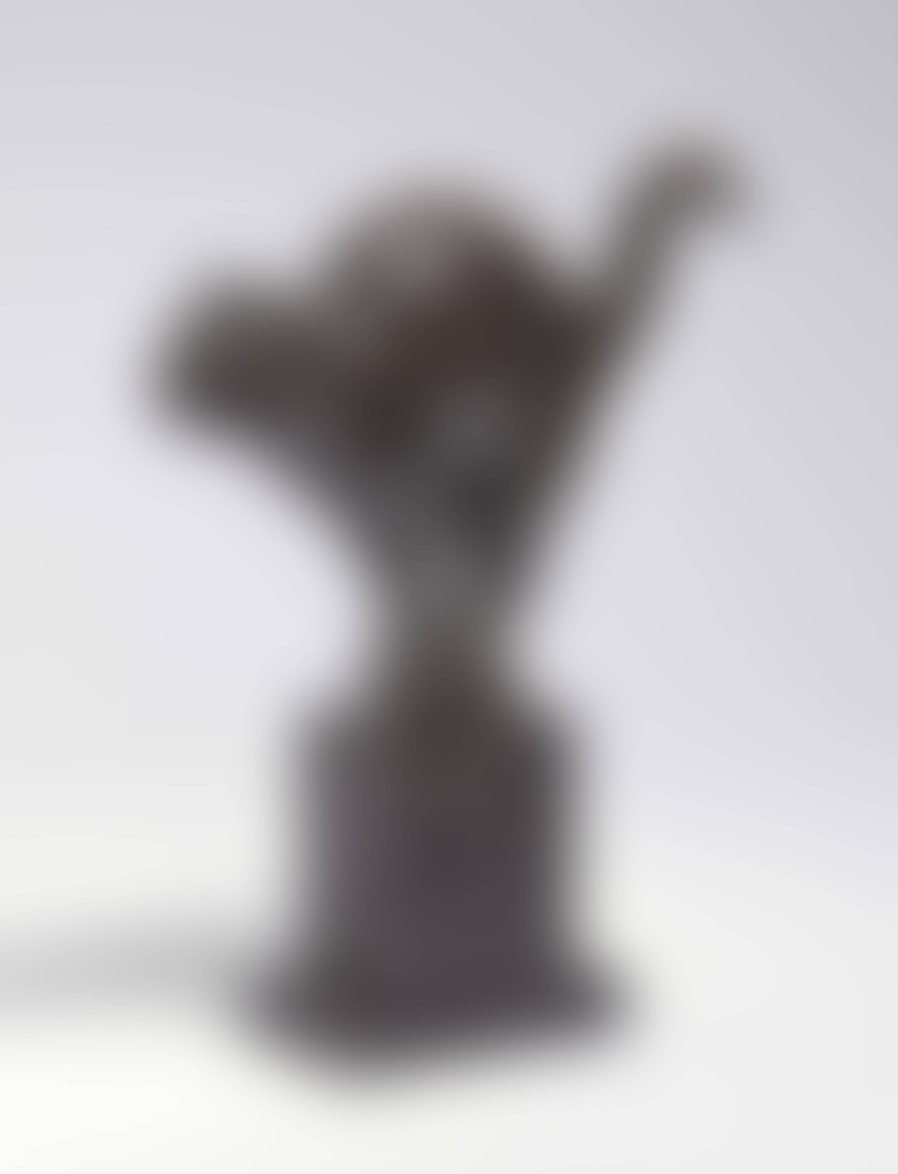 auction-image