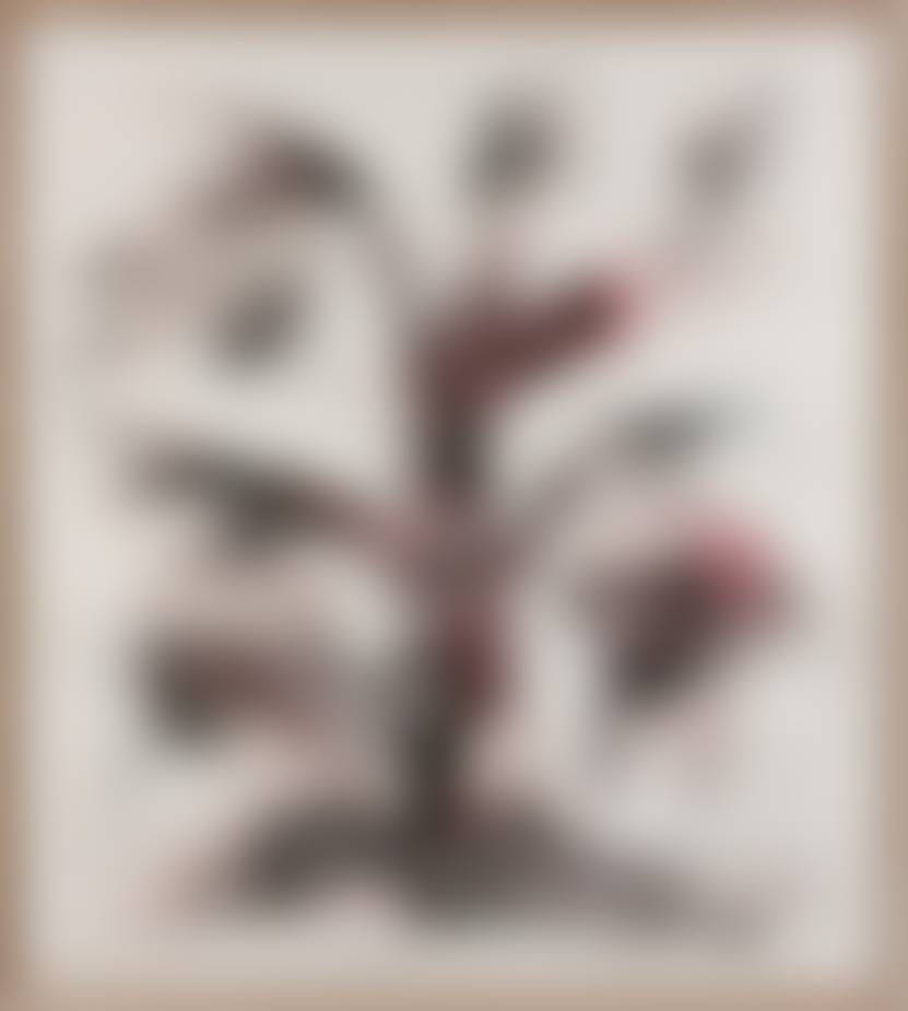 auction-image