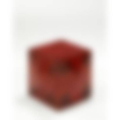 auction-image