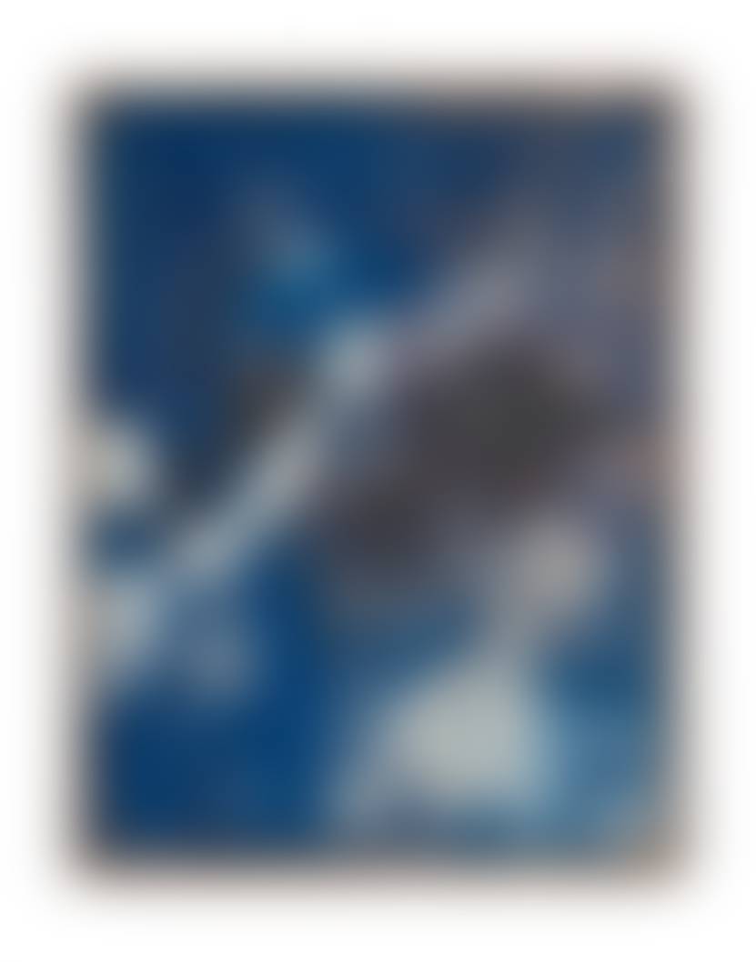 auction-image
