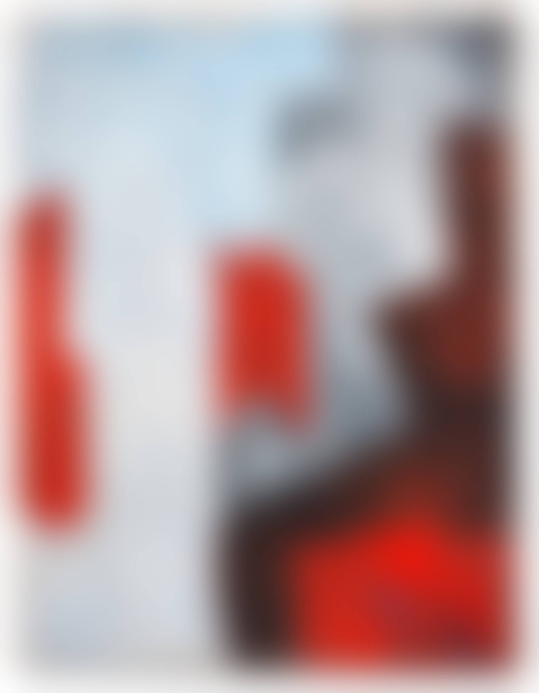 auction-image