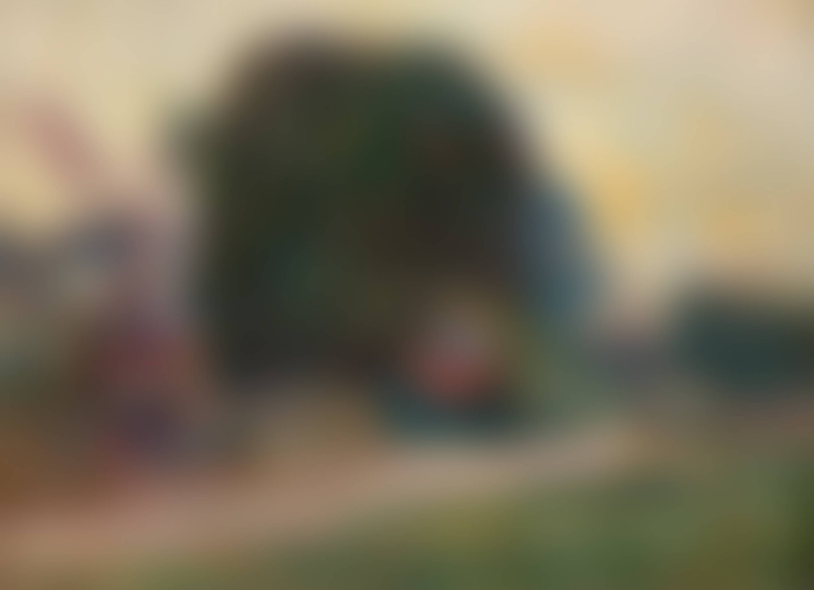 auction-image