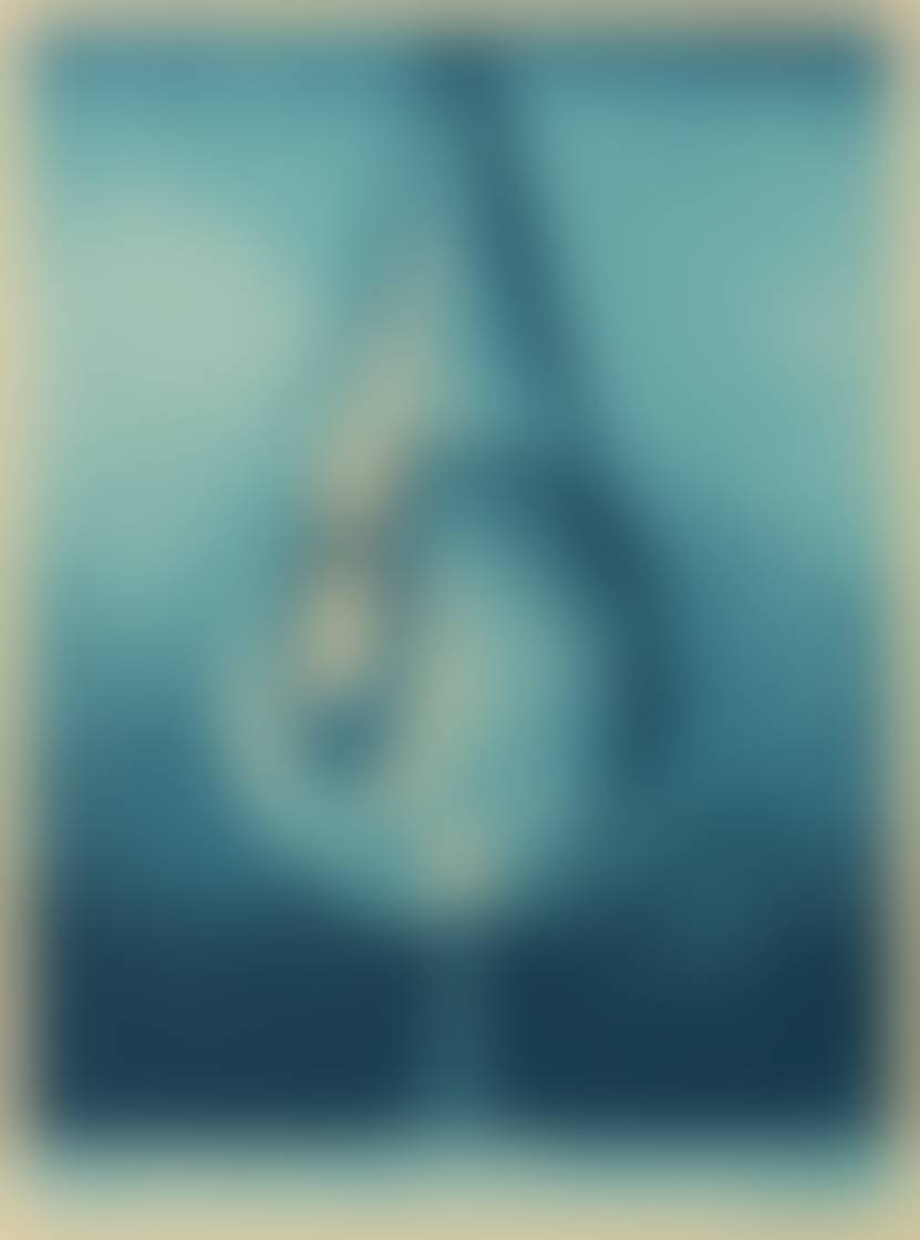 auction-image