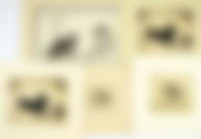 auction-image