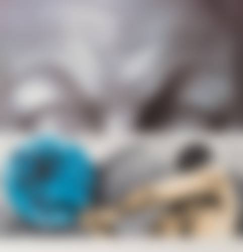 auction-image