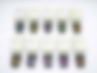 auction-image