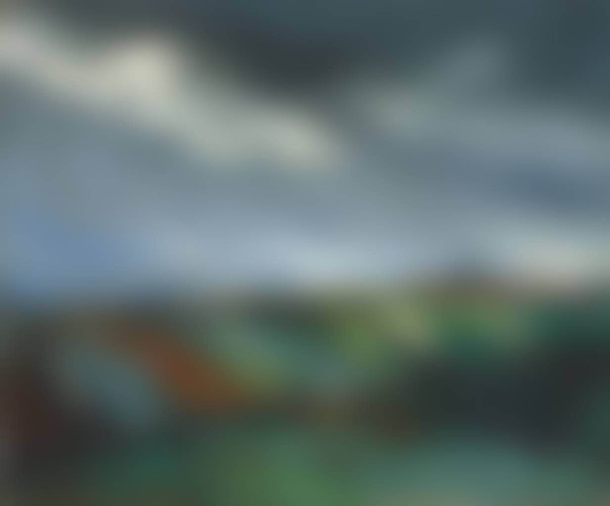 auction-image