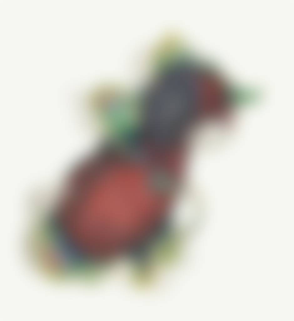 auction-image