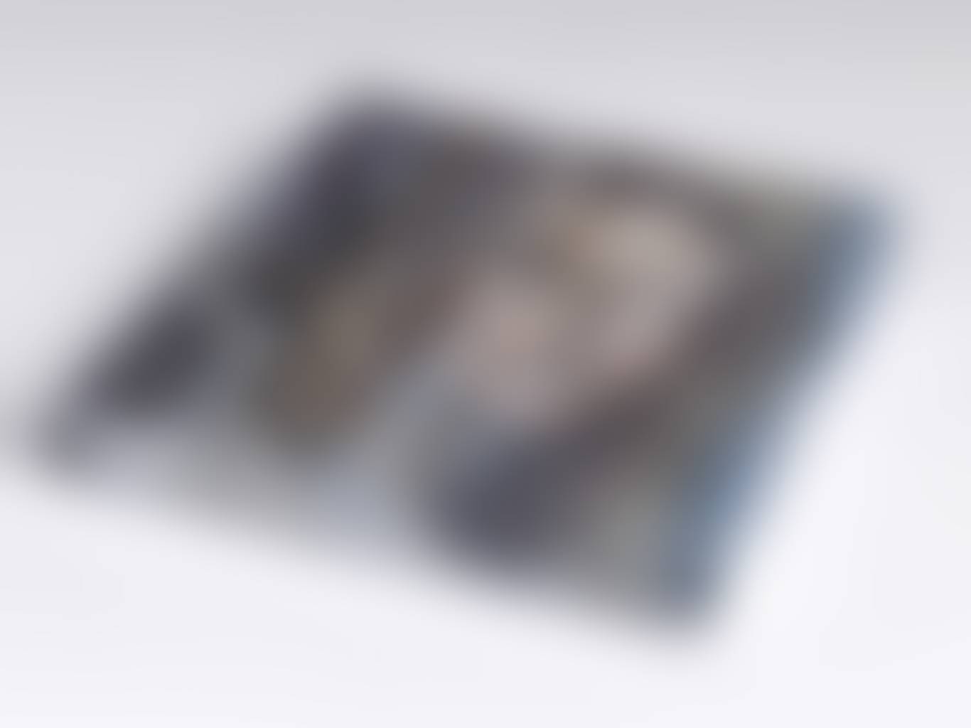 auction-image