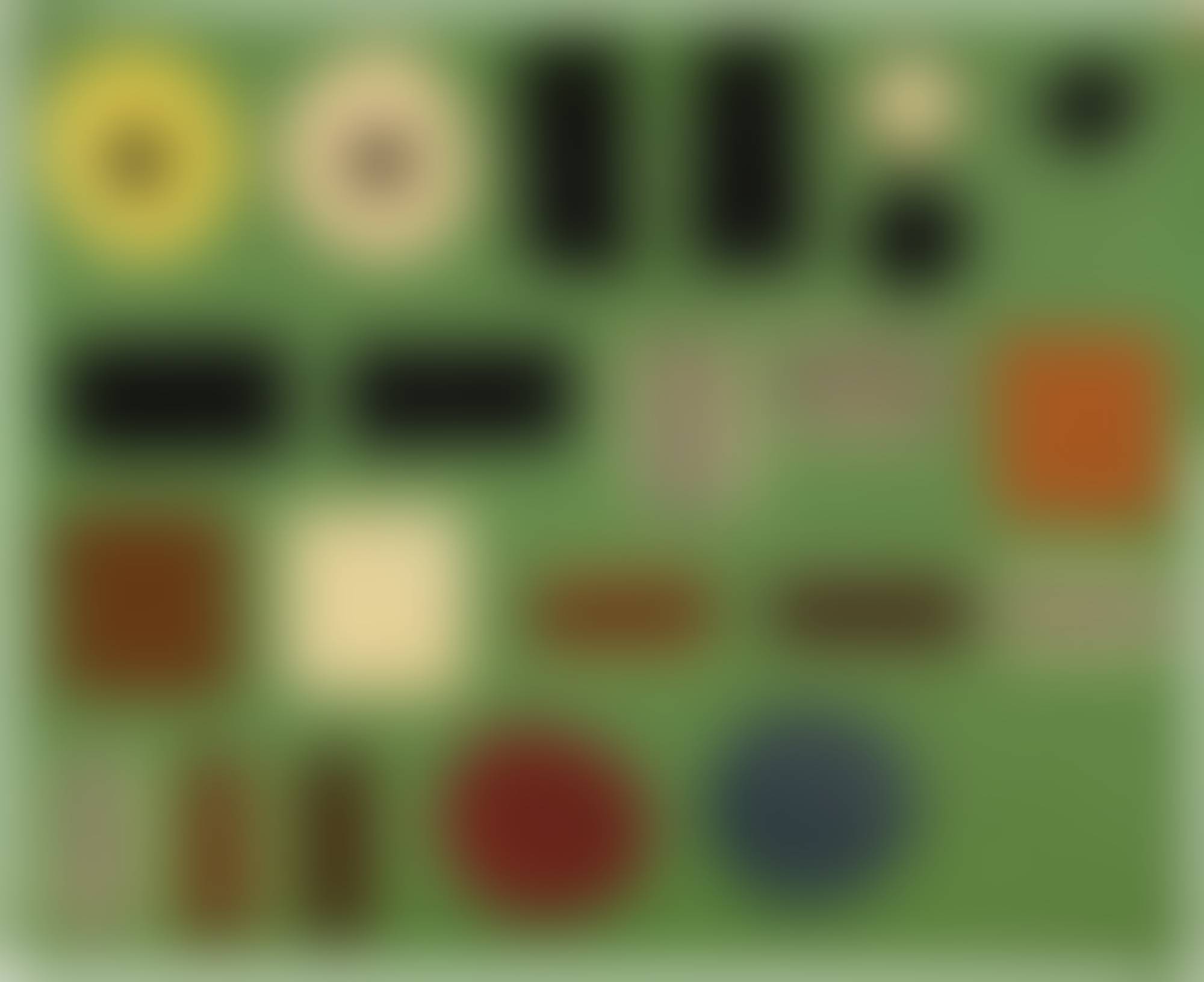 auction-image