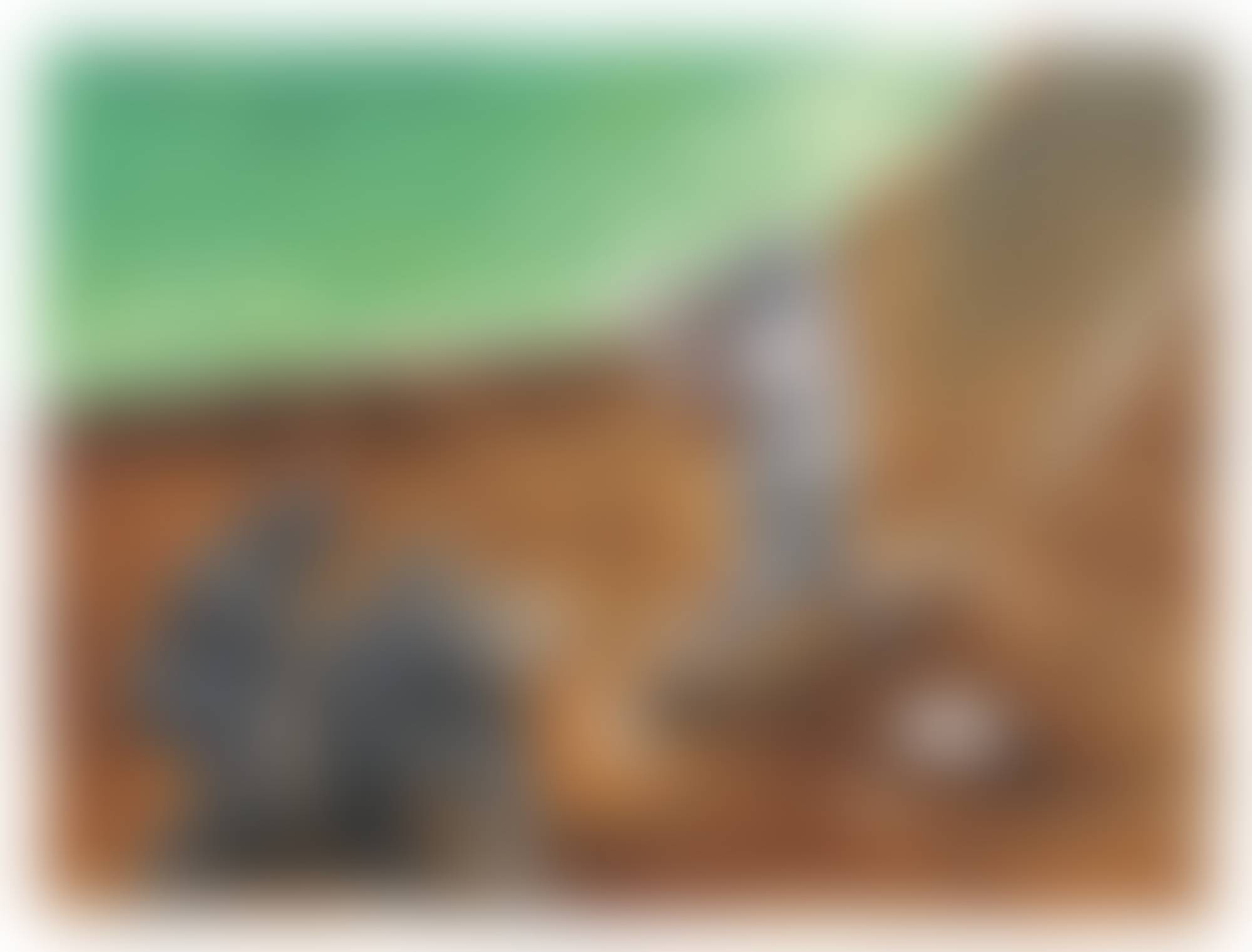 auction-image