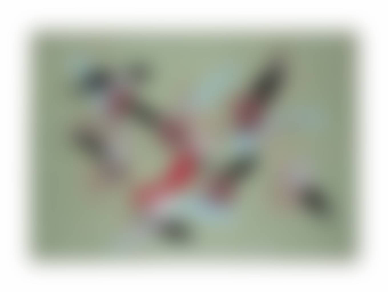 auction-image