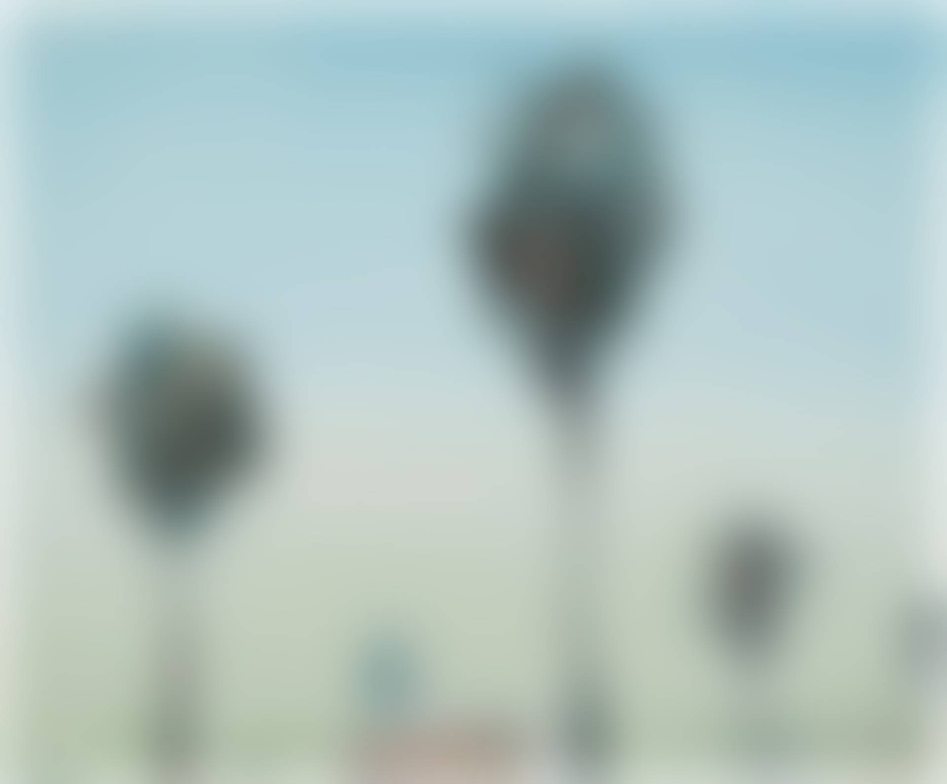 auction-image