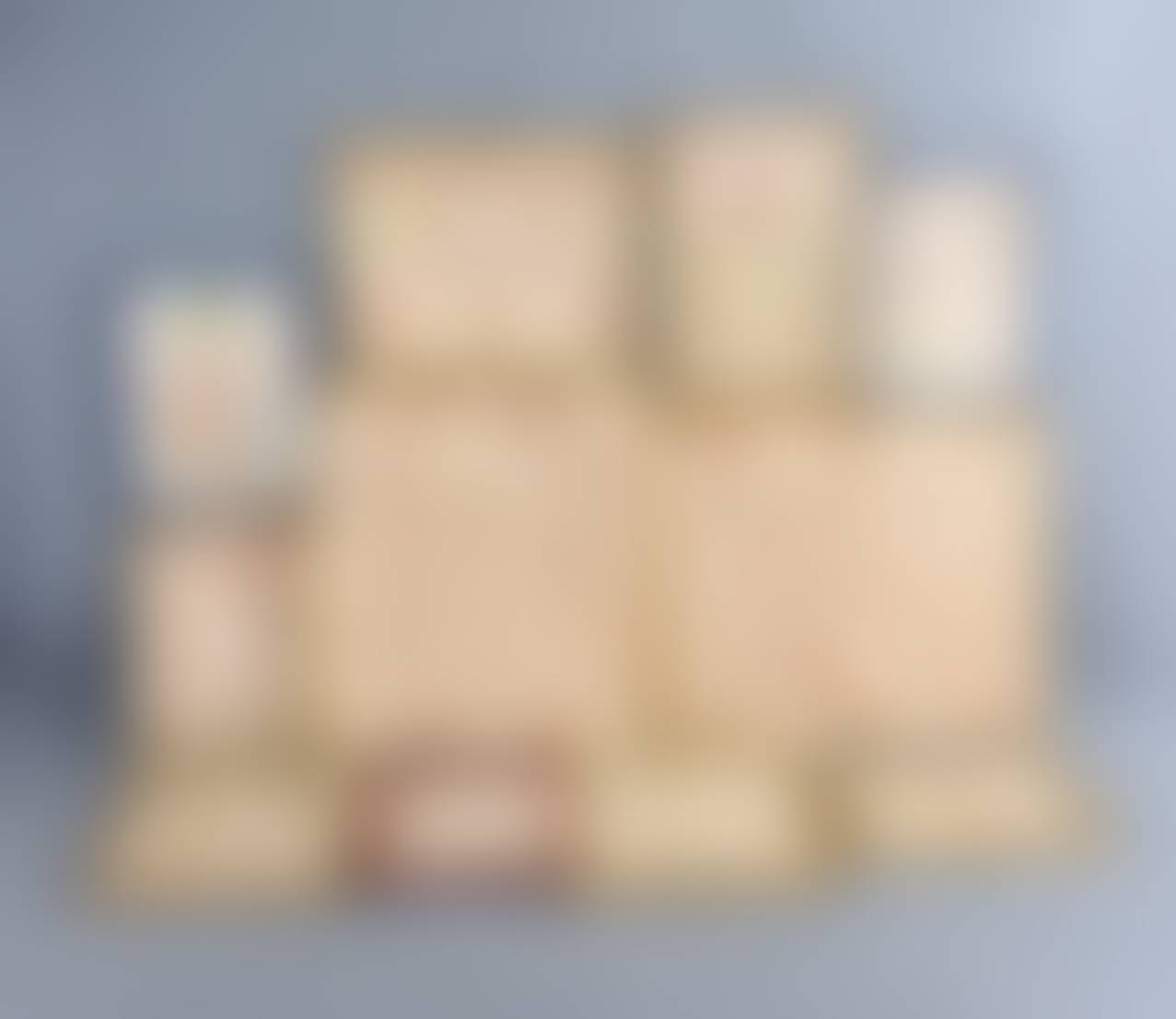 auction-image