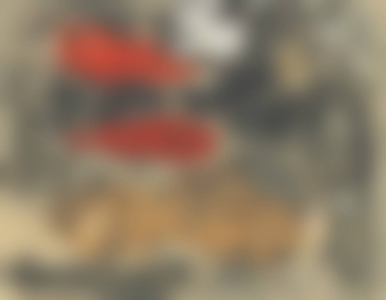 auction-image
