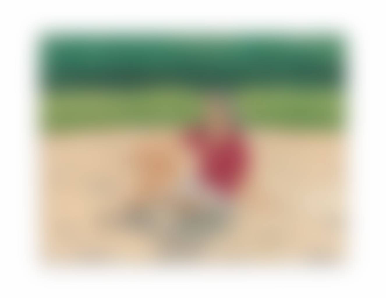 auction-image