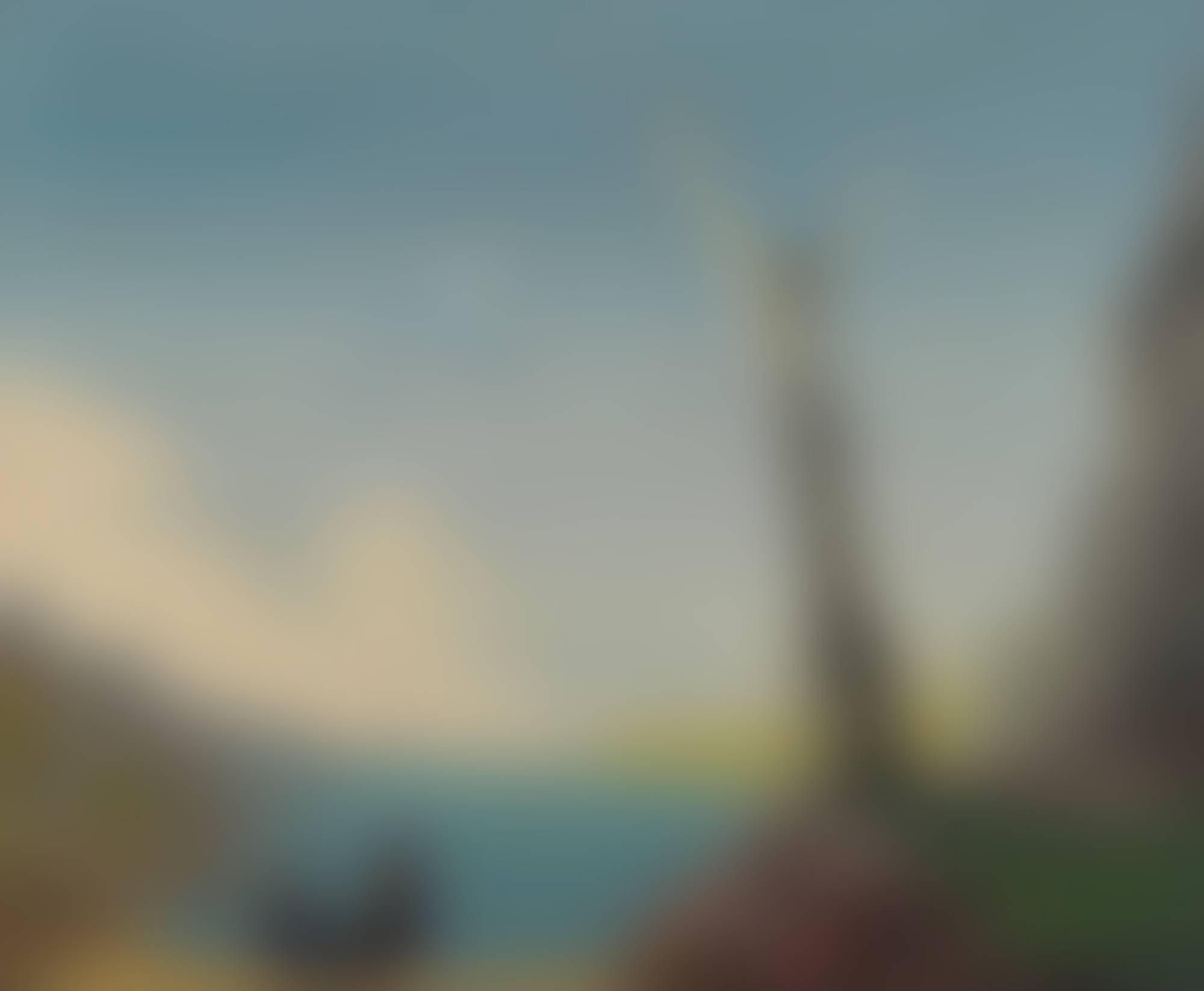 auction-image