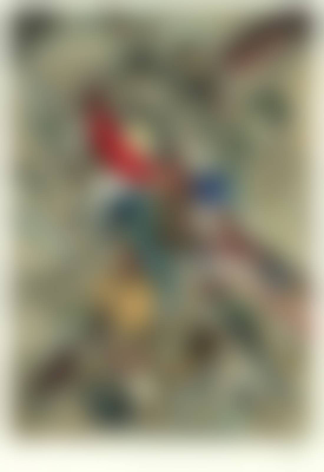 auction-image