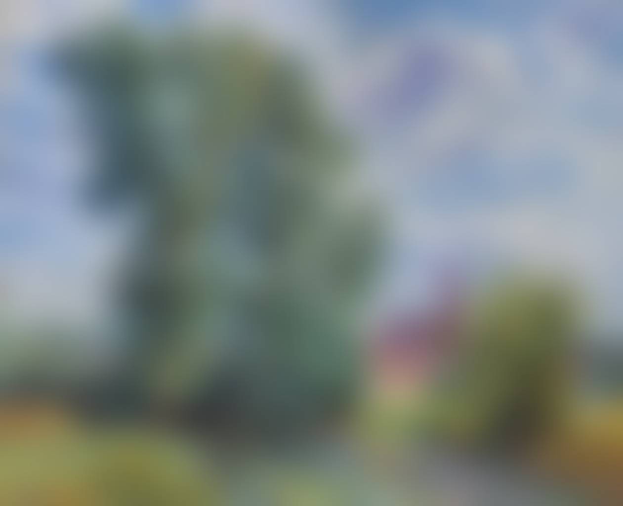 auction-image
