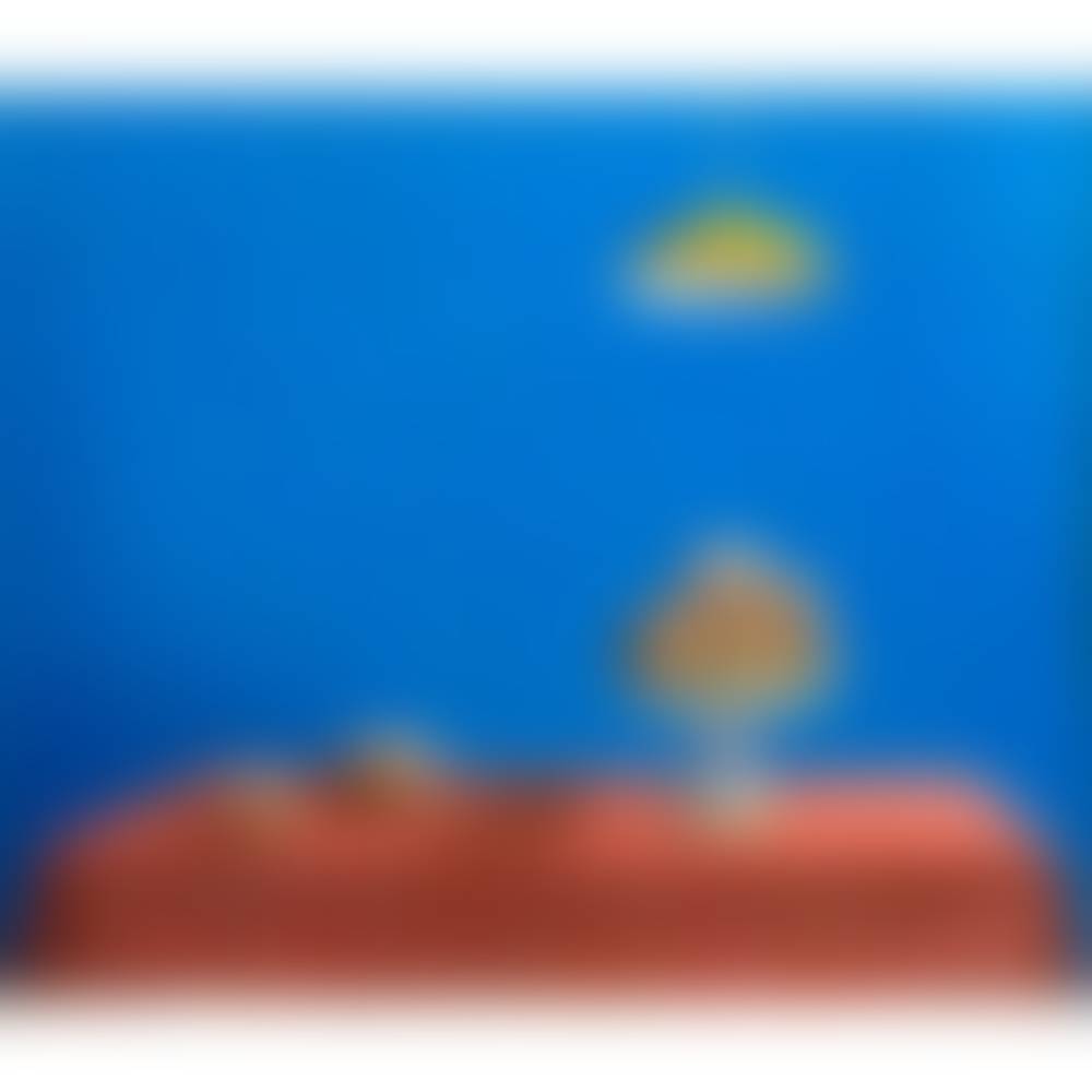 auction-image
