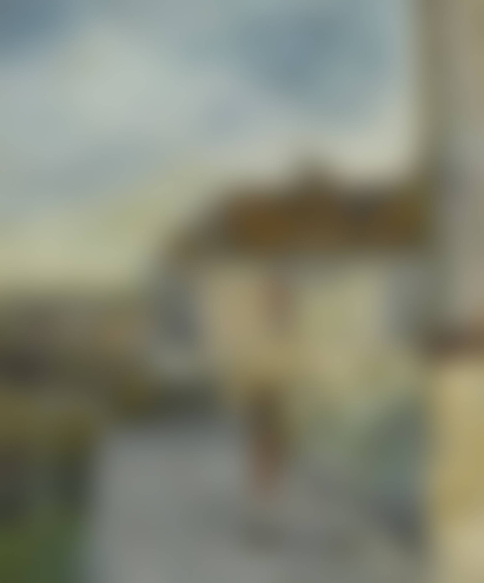 auction-image