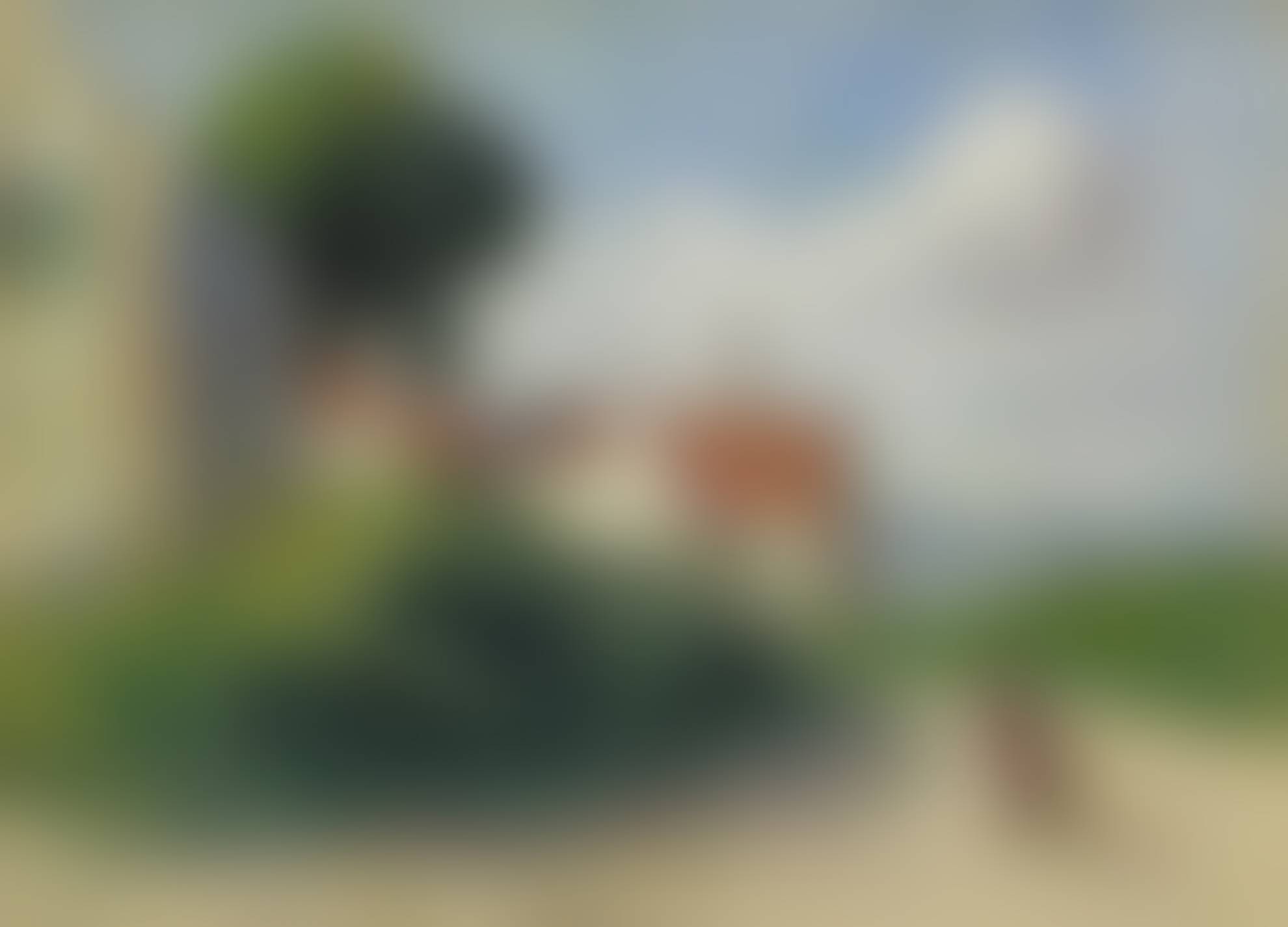auction-image