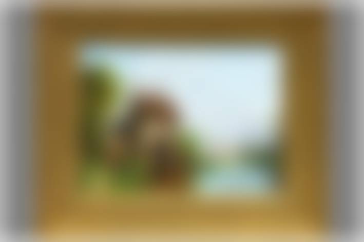 auction-image