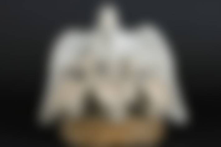 auction-image