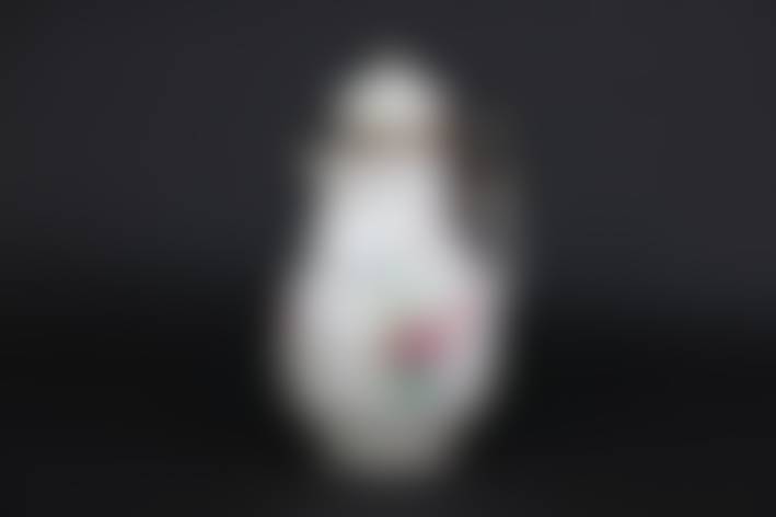 auction-image