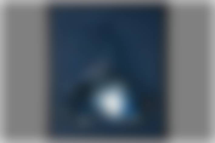 auction-image