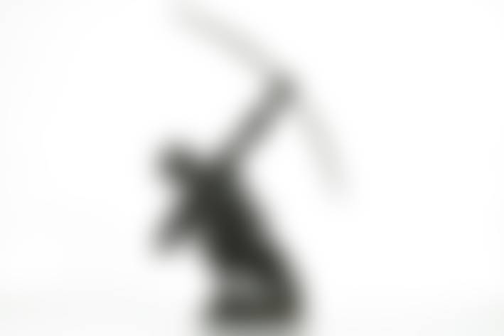auction-image