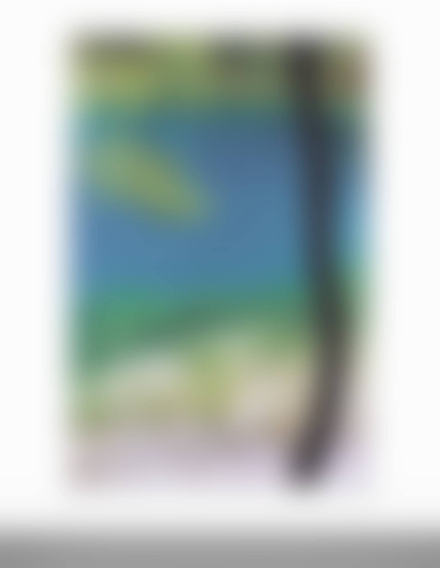 auction-image