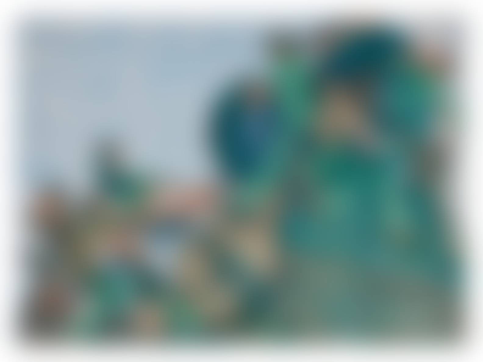 auction-image