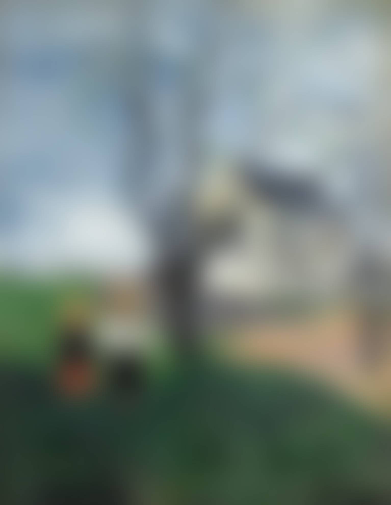 auction-image