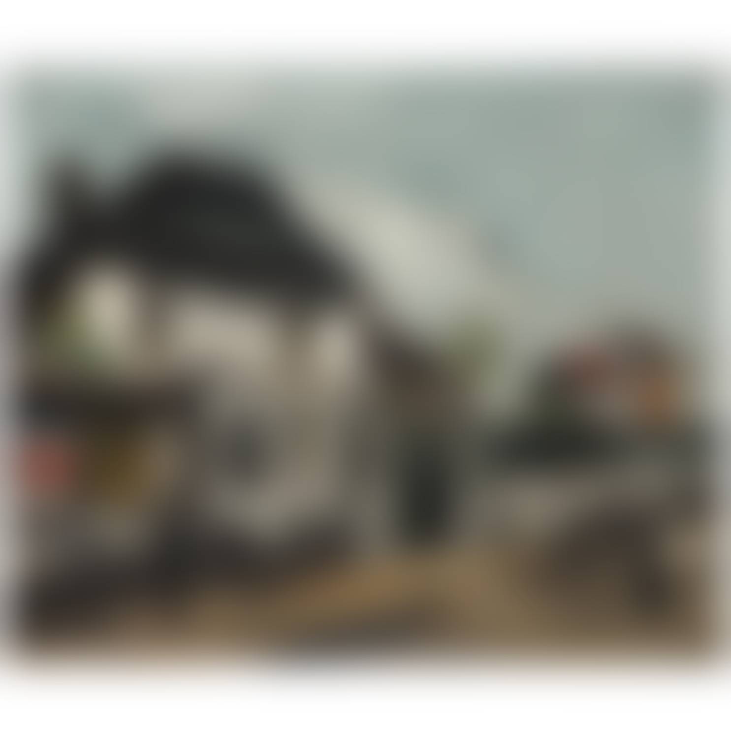 auction-image