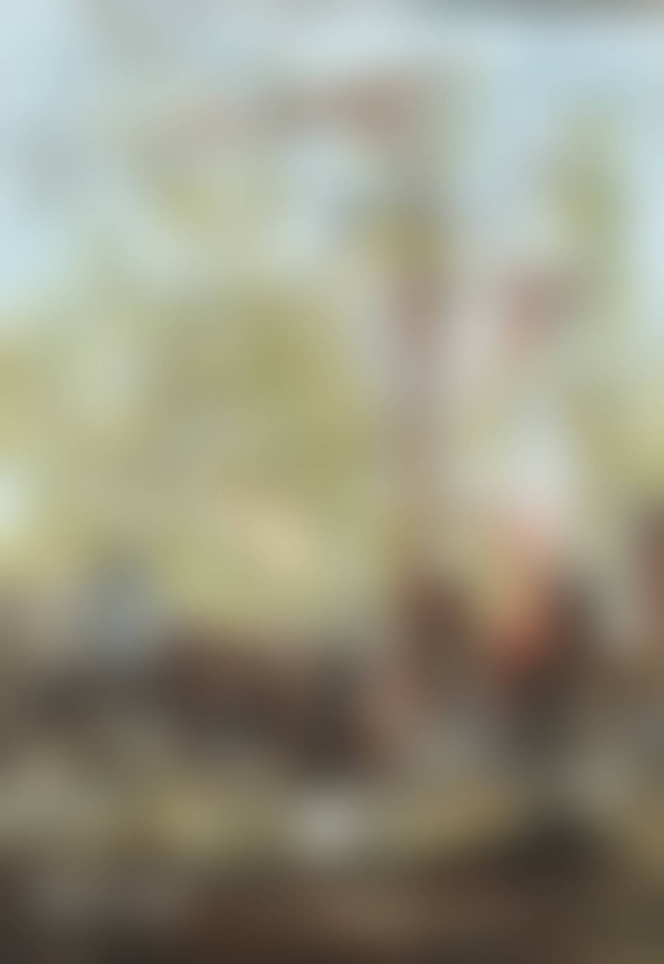 auction-image