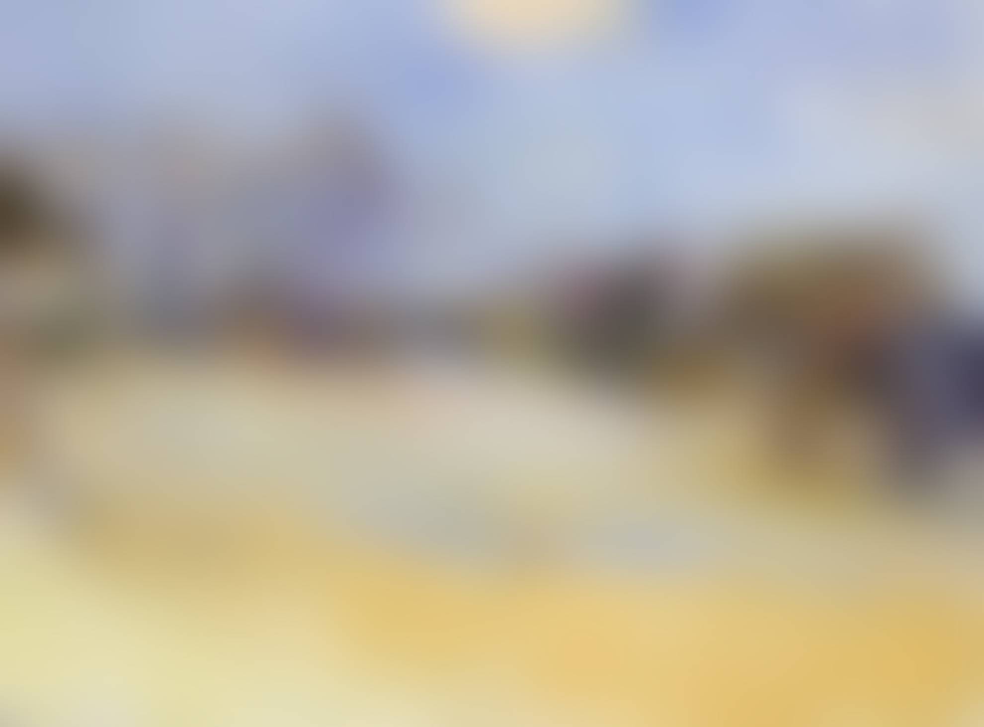 auction-image