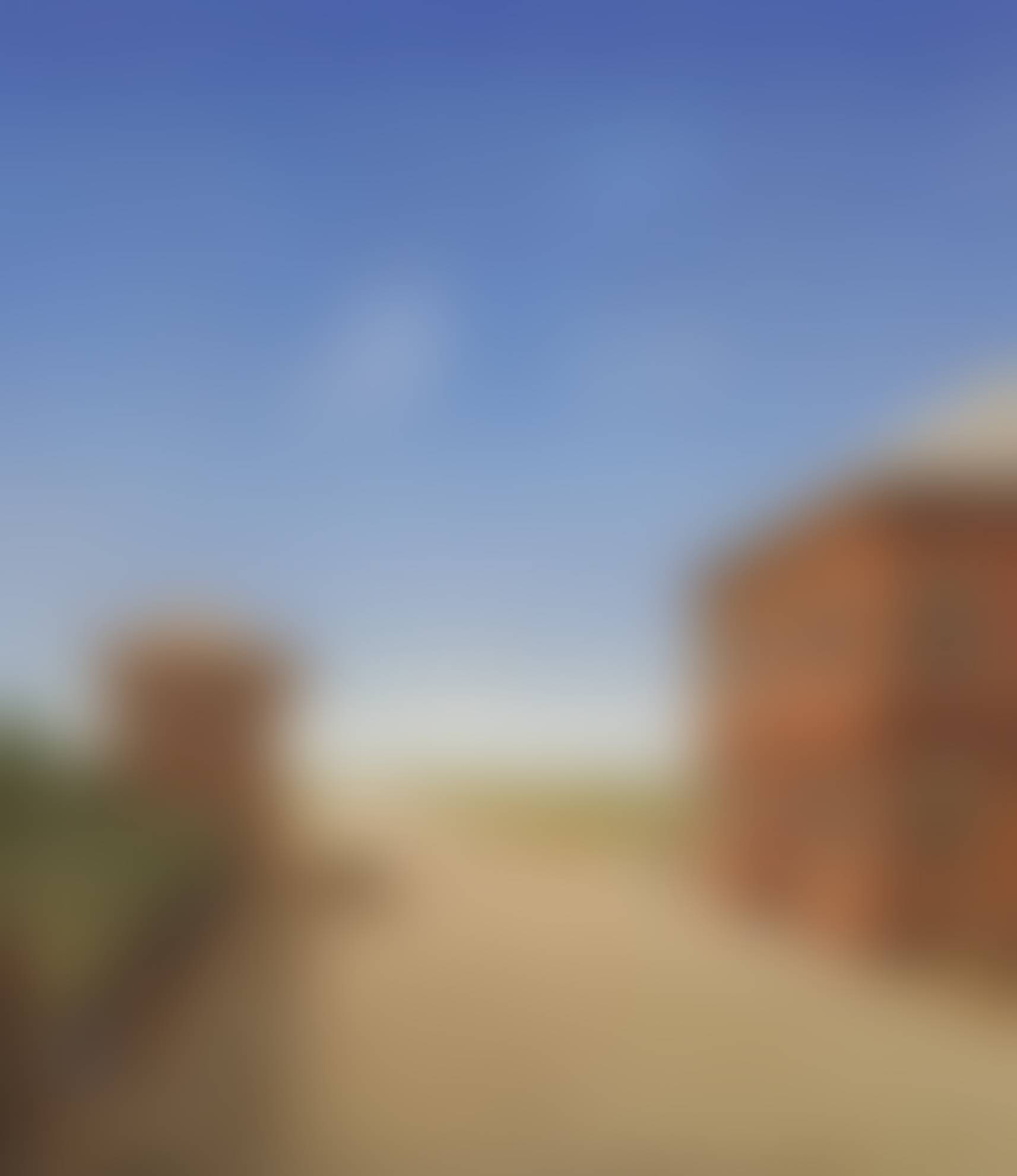 auction-image