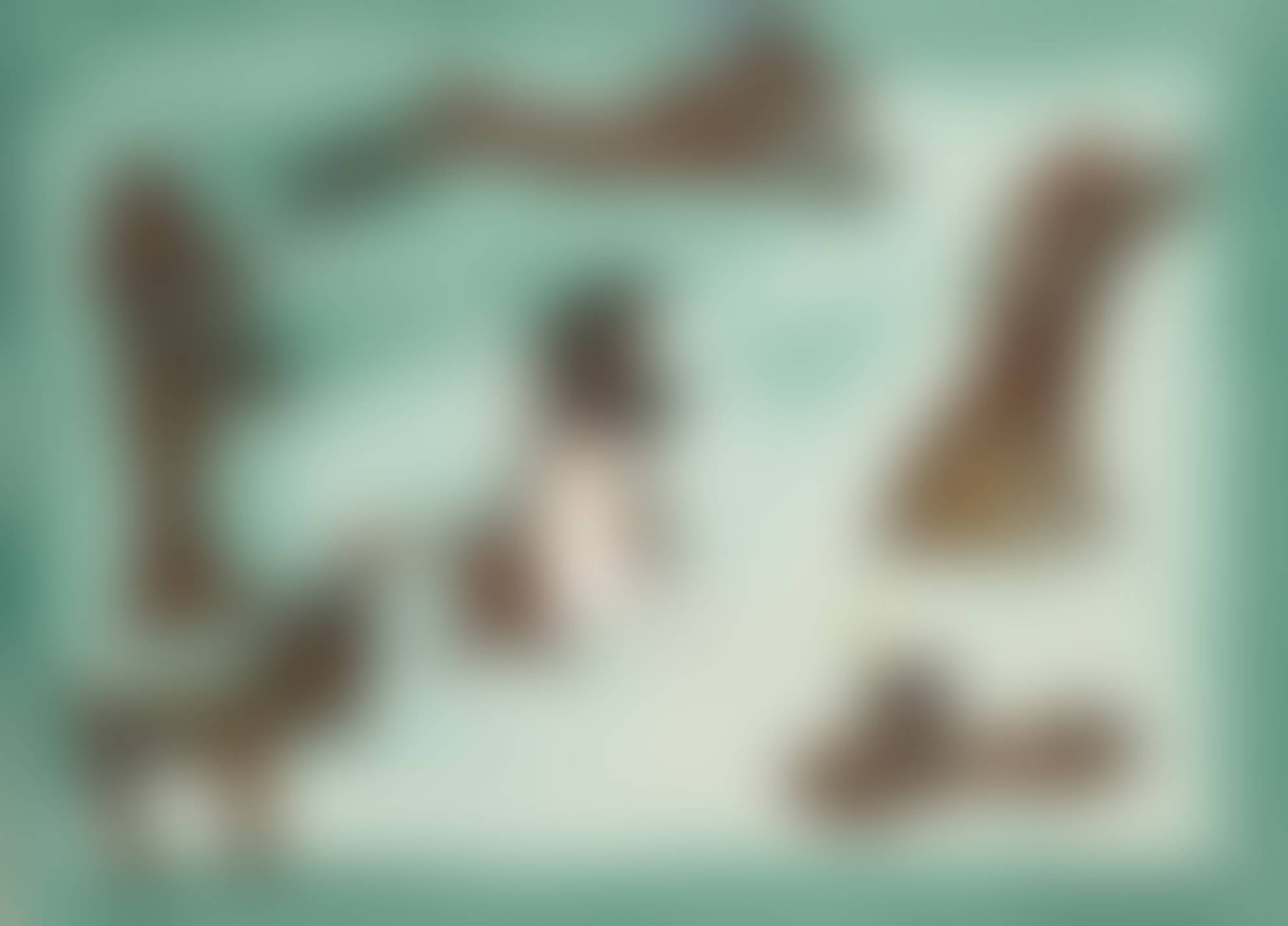 auction-image