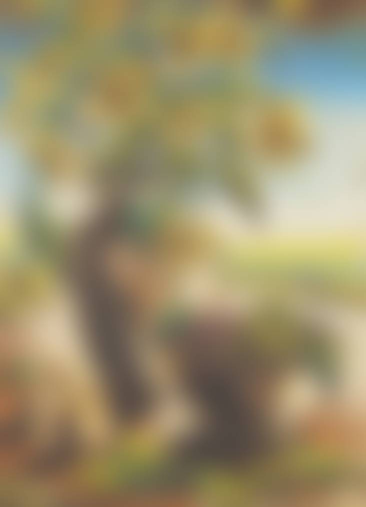 auction-image