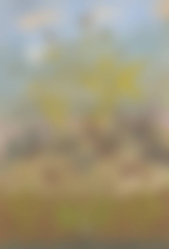 auction-image