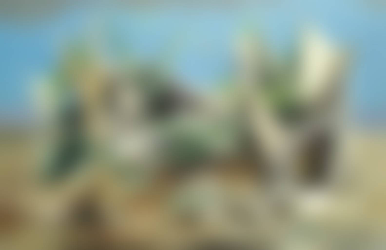 auction-image