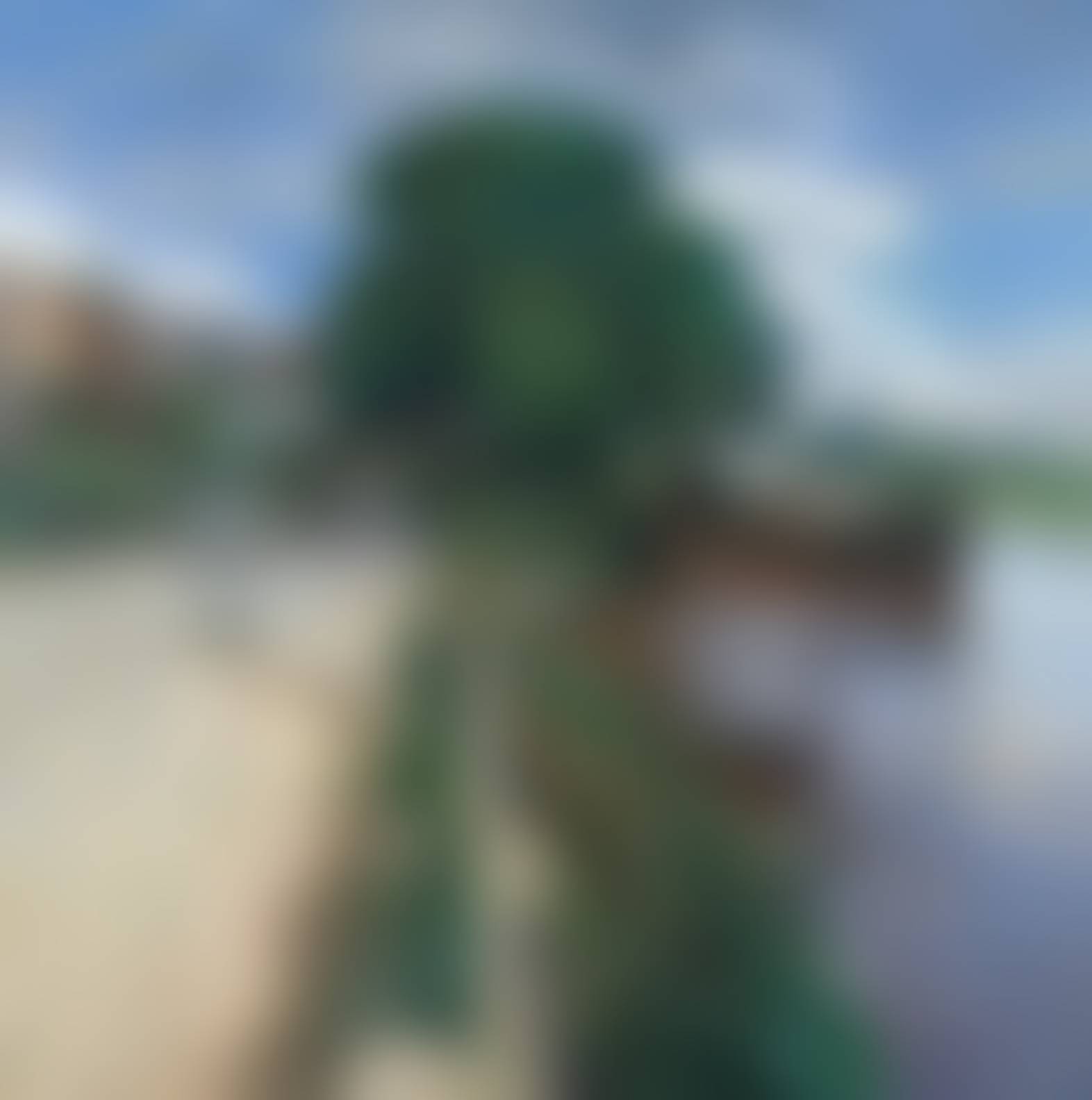 auction-image
