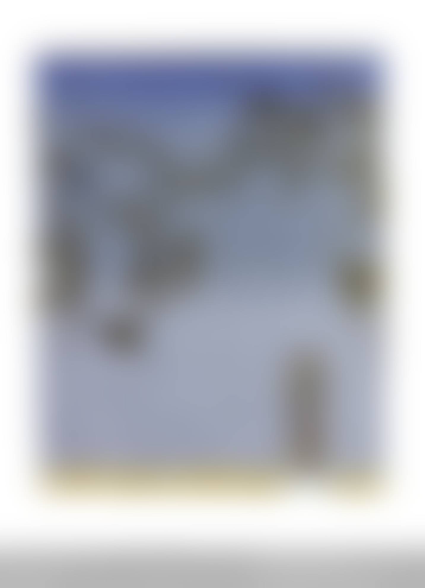 auction-image