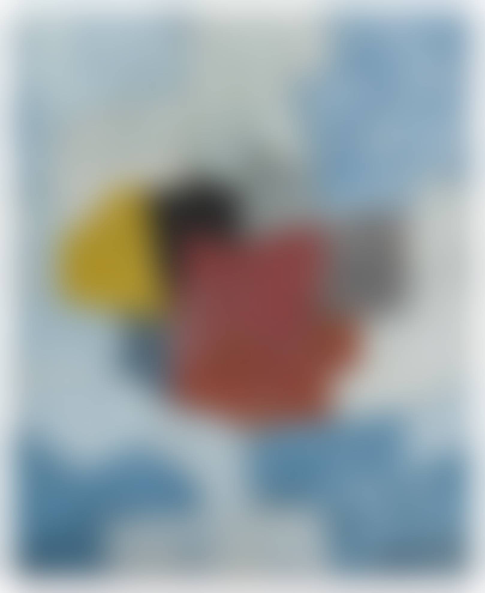 auction-image